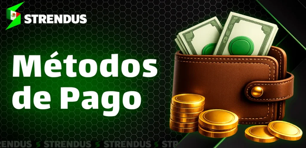 Opciones de pago disponibles