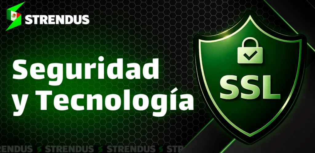 Cifrado SSL para la protección de datos